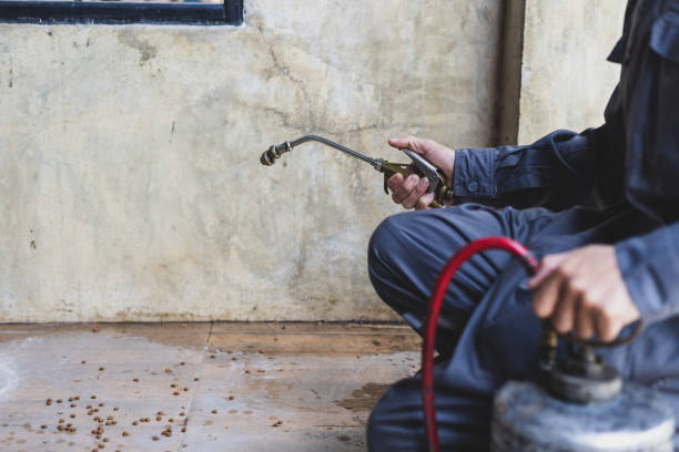 Best Exterminator Services  in Elk Grove, CA